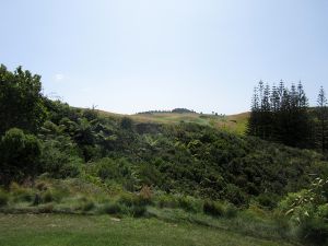 Kauri Cliffs 8th Tips